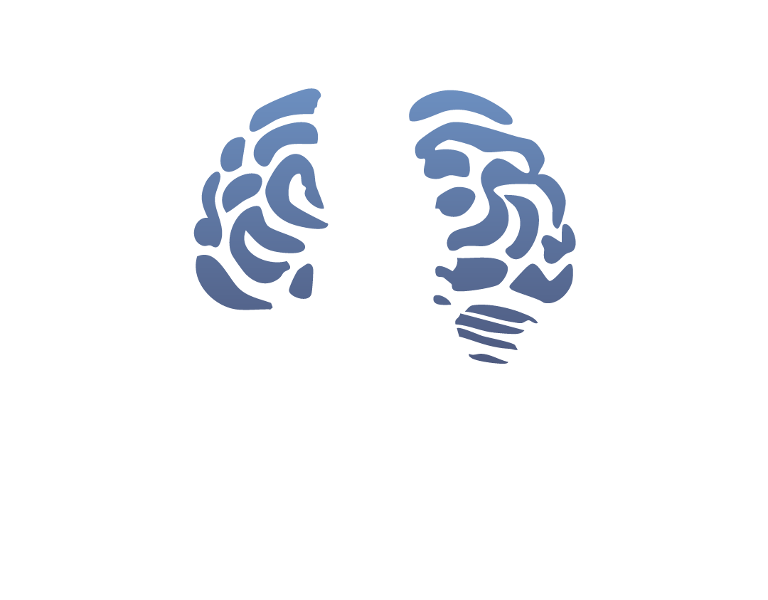 SA Personal Injury Lawyers logo