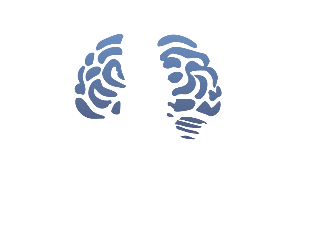 SA Personal Injury Lawyers logo